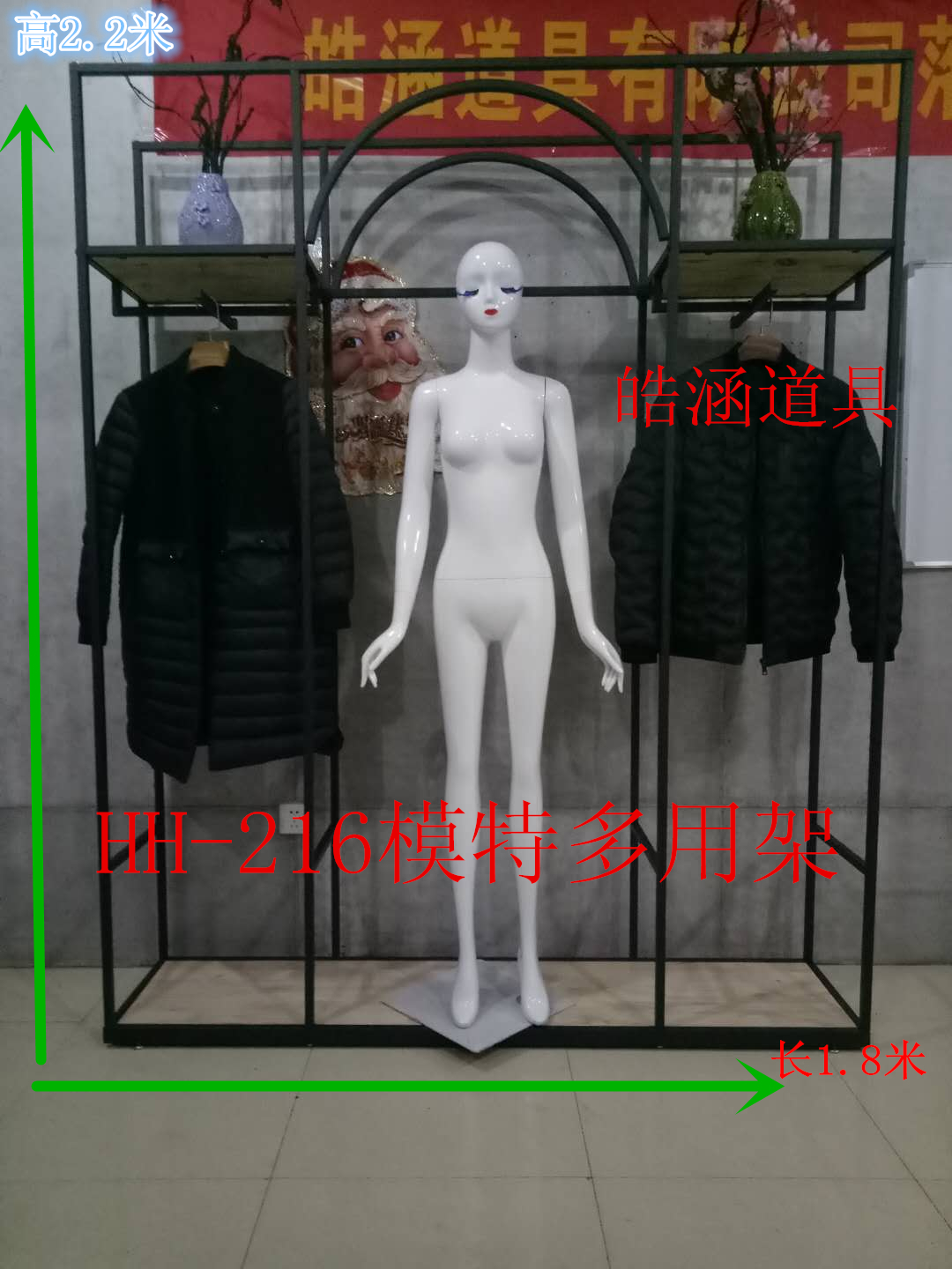 HH-216模特多用架